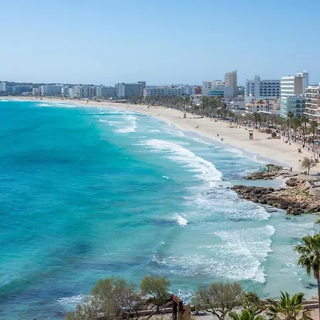 Apto Con Terraza 201