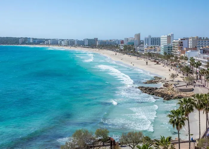 Apto Con Terraza 201